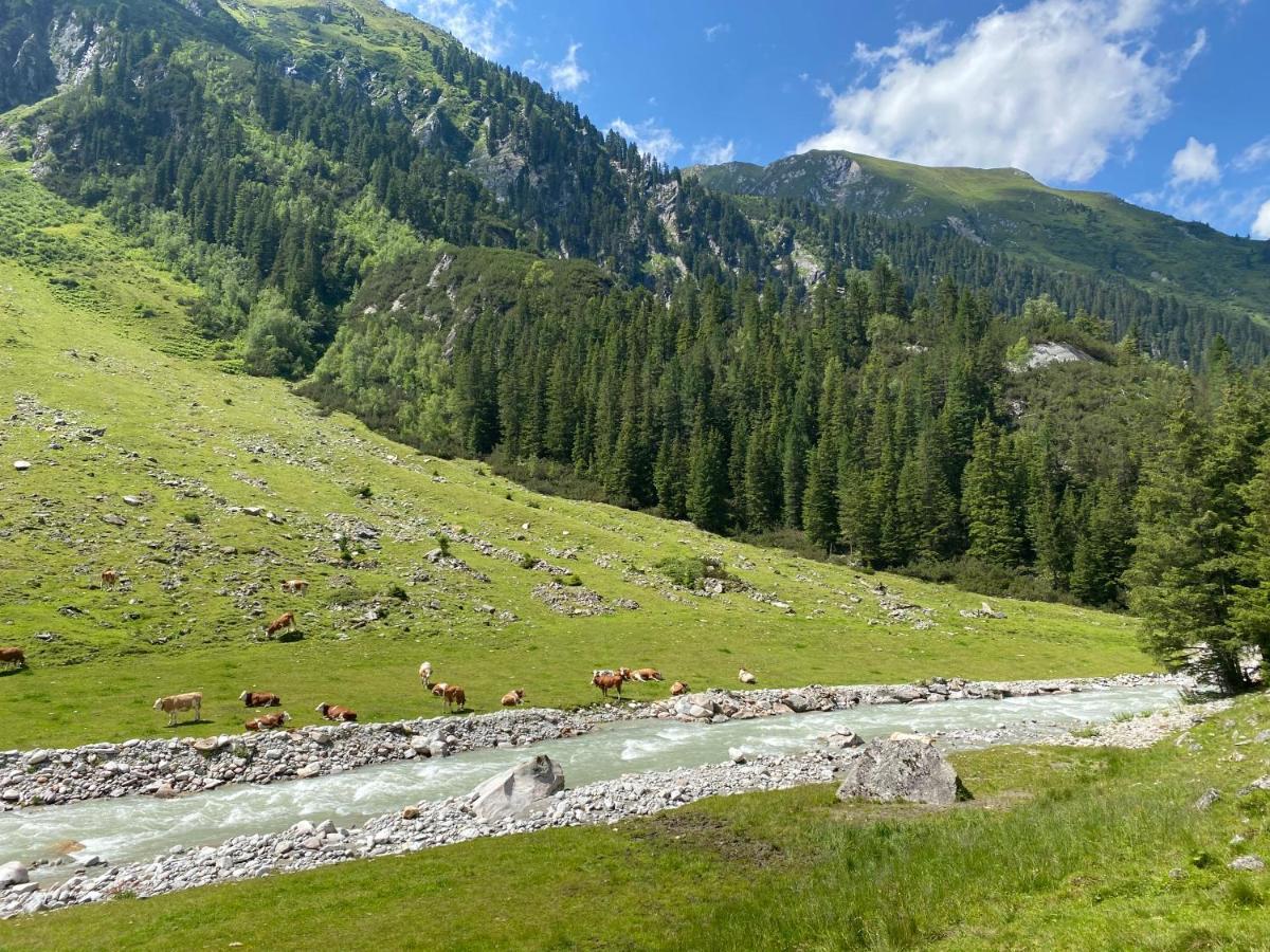 Penthaus Kitzebueheler Alpen Apartman Neukirchen am Großvenediger Kültér fotó